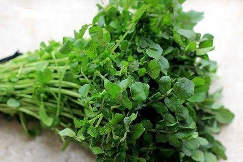 26 Công dụng của Rau Cải Xoong tốt cho sức khỏe
