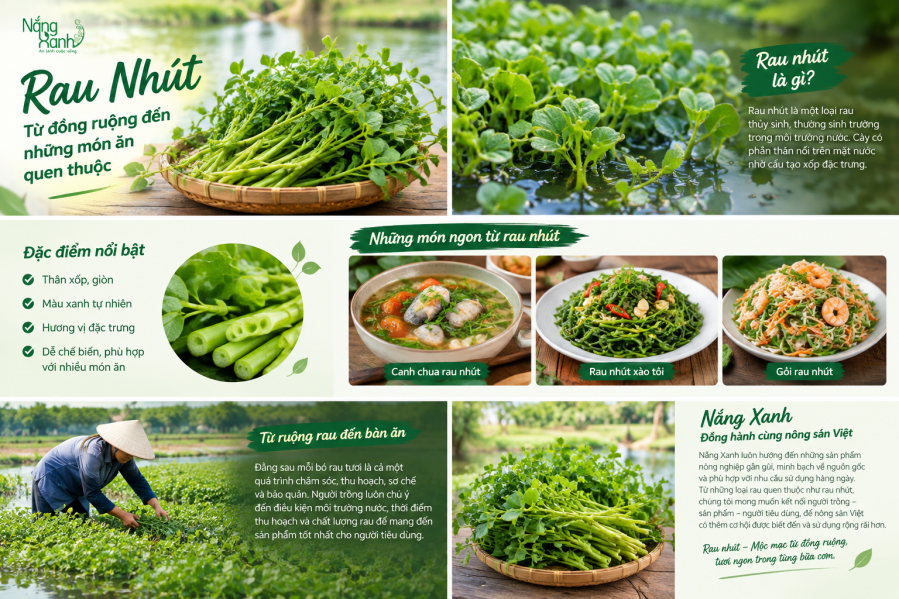 NHỮNG MÓN ĂN TỪ RAU NHÚT AI CŨNG NÊN THỬ LÀM 