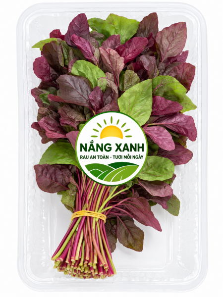 RAU DỀN – LOẠI RAU DÂN DÃ GIÀU DINH DƯỠNG VÀ NHỮNG MÓN NGON DỄ LÀM TẠI NHÀ
