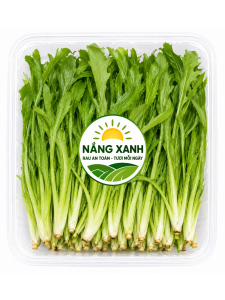 RAU NGÒ GAI – LOẠI RAU THƠM QUEN THUỘC, ĐẬM HƯƠNG VỊ VÀ NHỮNG CÁCH DÙNG NGON CHO BỮA CƠM VIỆT