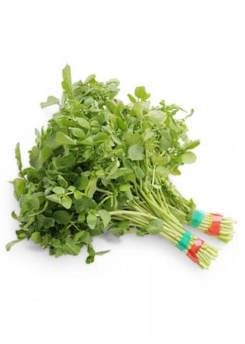 Cải xà lách xoong