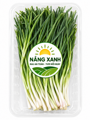 Hành Lá