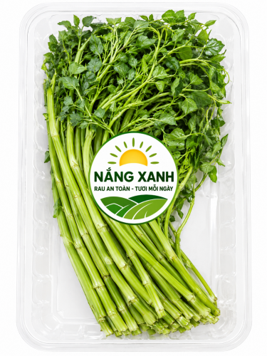 Rau Cần Nước