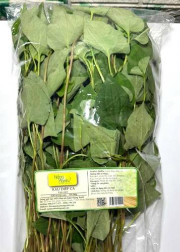 Rau Diếp Cá