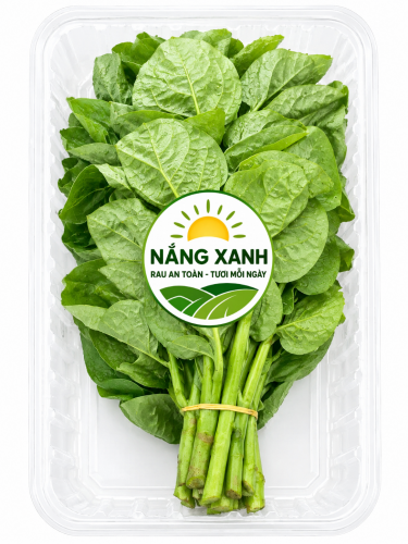 Rau Mồng Tơi